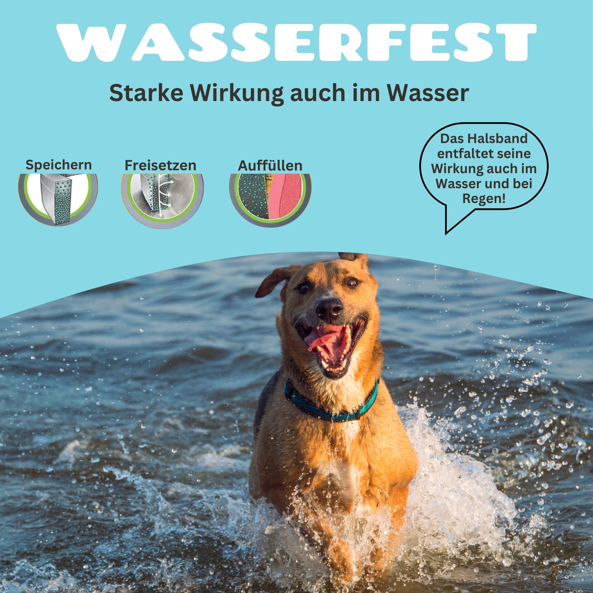 lubur-zecken-floh-halsband-natuerlich