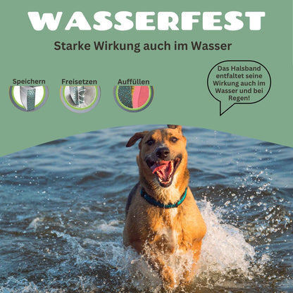 Lubur® Zeckenhalsband – 8 Monate Schutz mit Pflanzenölen