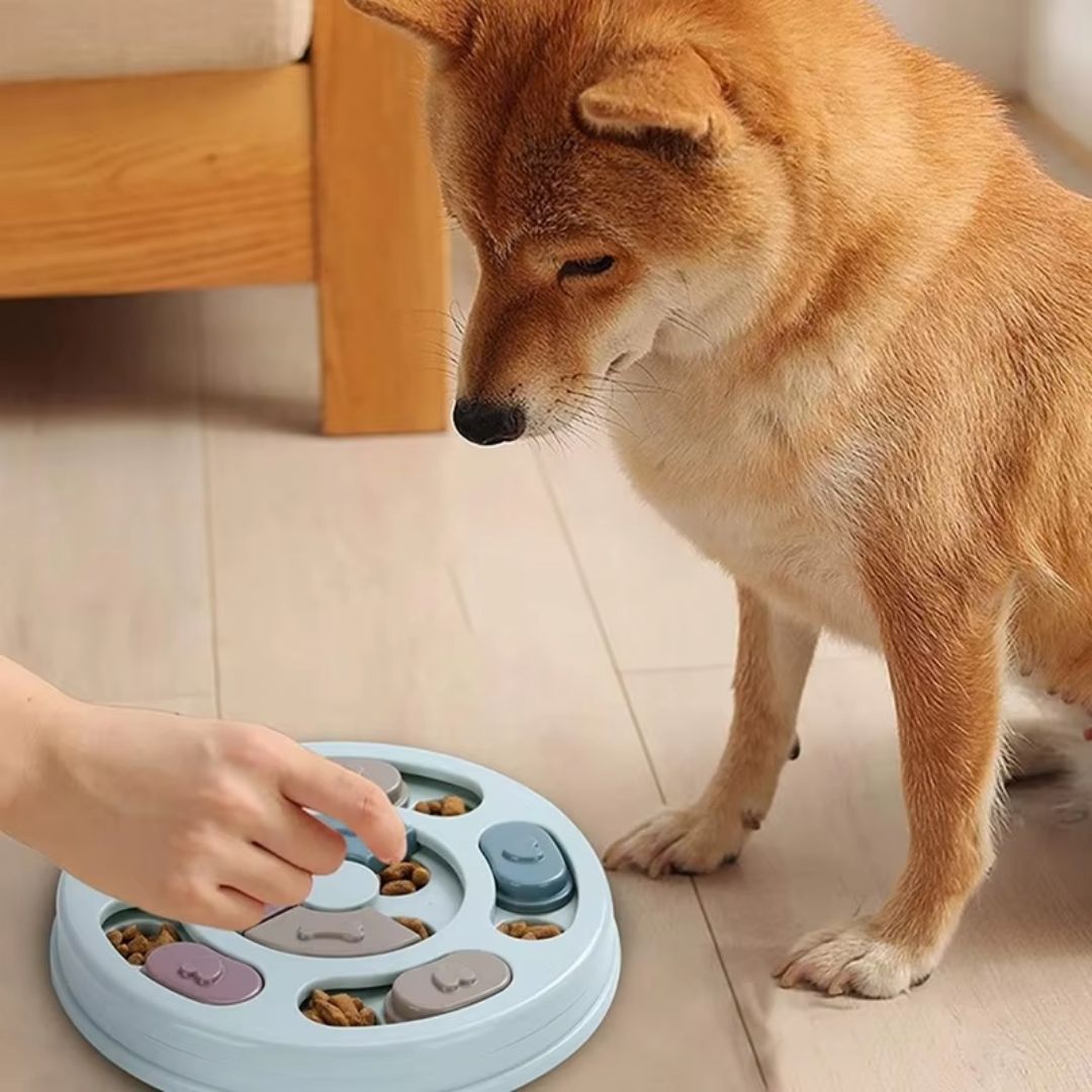 Interaktives Intelligenzspielzeug für Hunde – Rutschfestes Futter-Puzzle zur mentalen Stimulation